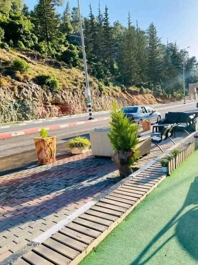 يافا | موسوعة القرى الفلسطينية يافا | موسوعة القرى الفلسطينية